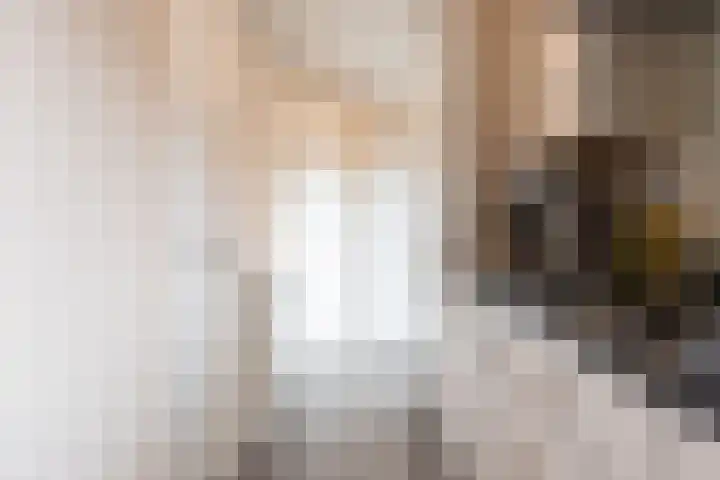 Tongerenseweg 126 015 Epe thumbnail 14