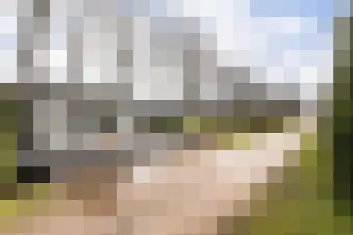 Tongerenseweg 126 015 Epe thumbnail 18