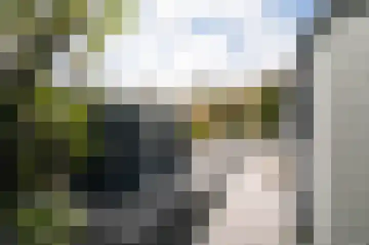 Tongerenseweg 126 015 Epe thumbnail 19
