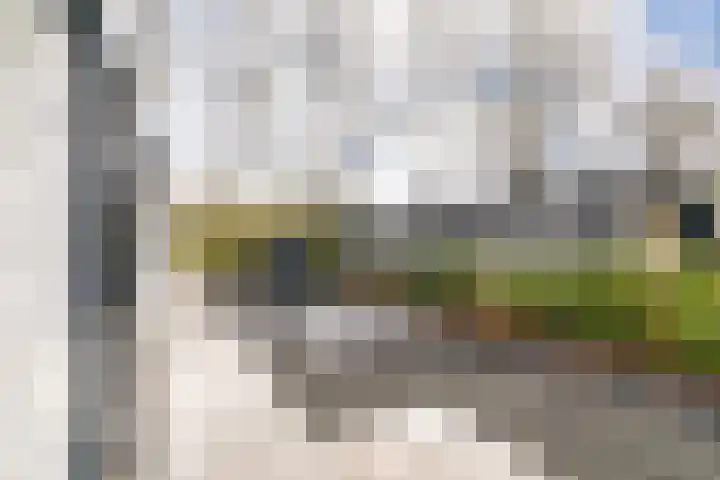 Tongerenseweg 126 015 Epe thumbnail 20