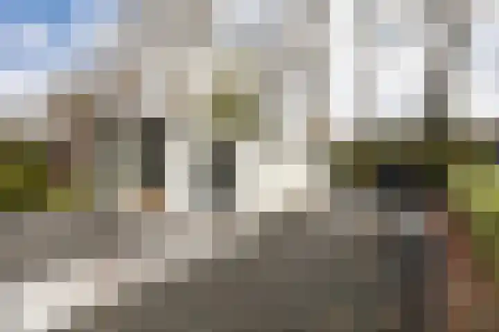 Tongerenseweg 126 015 Epe thumbnail 4