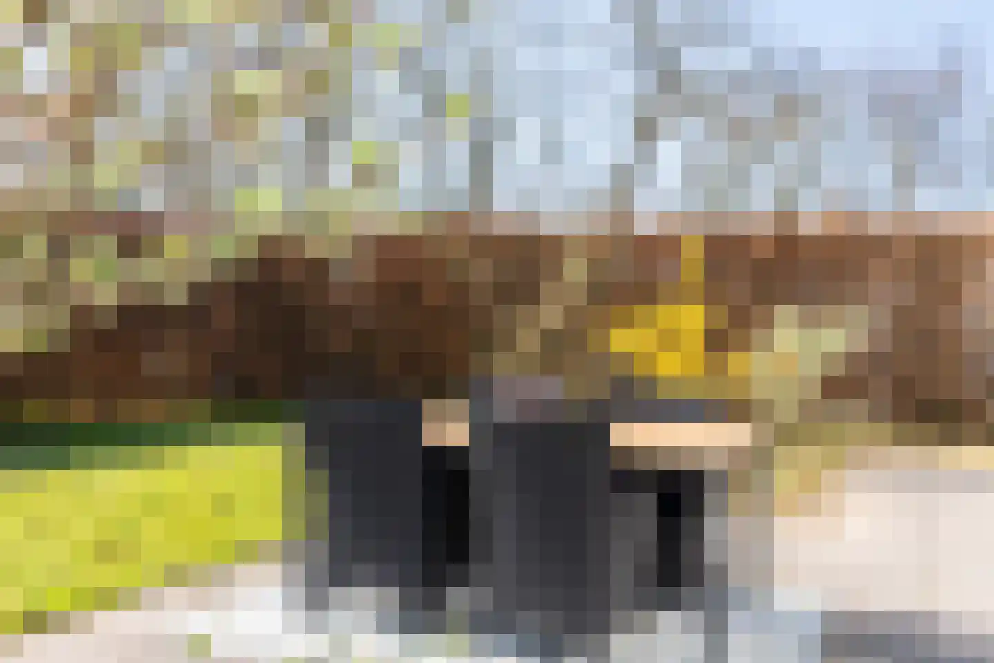 Tongerenseweg 134 40 Epe thumbnail 6