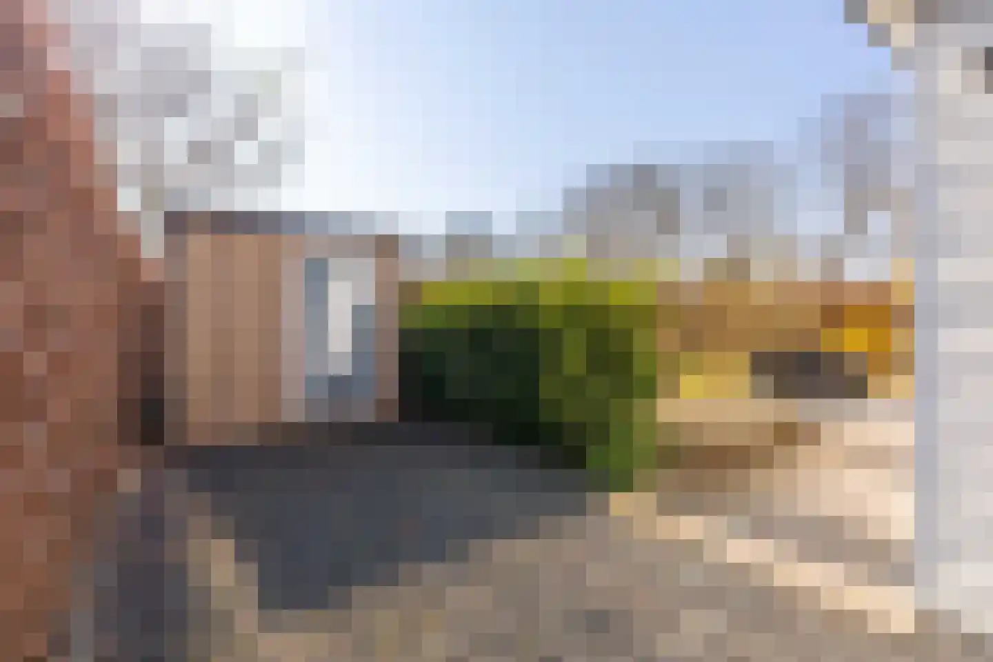 Tongerenseweg 134 40 Epe thumbnail 8