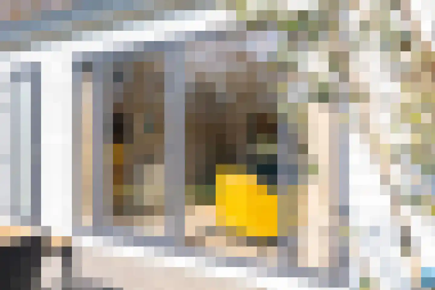 Tongerenseweg 134 40 Epe thumbnail 9