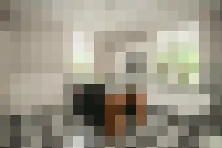 Tongerenseweg 192 Epe thumbnail 11