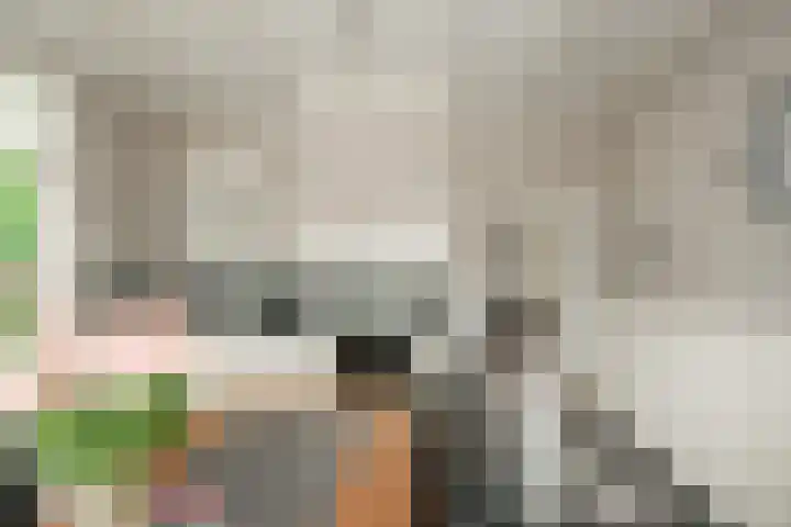 Tongerenseweg 192 Epe thumbnail 12