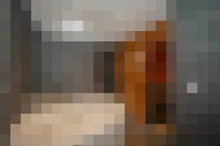 Tongerenseweg 192 Epe thumbnail 23