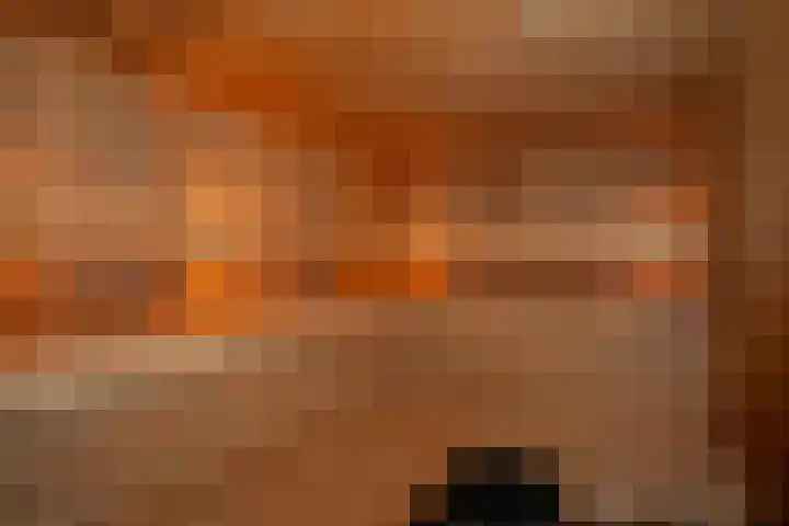Tongerenseweg 192 Epe thumbnail 25