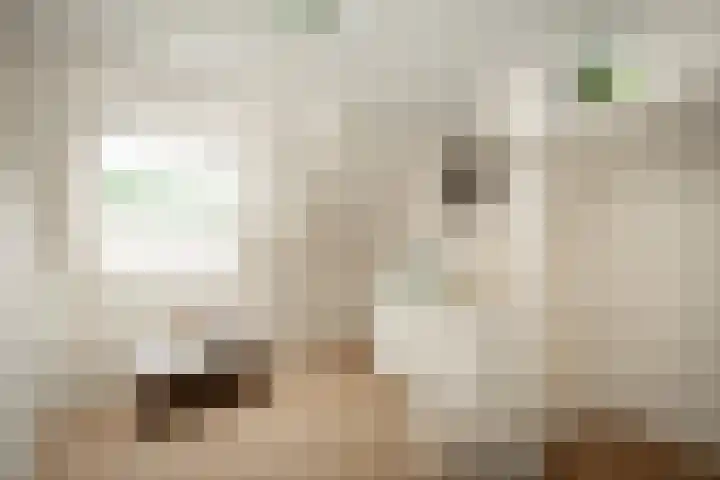 Tongerenseweg 192 Epe thumbnail 26