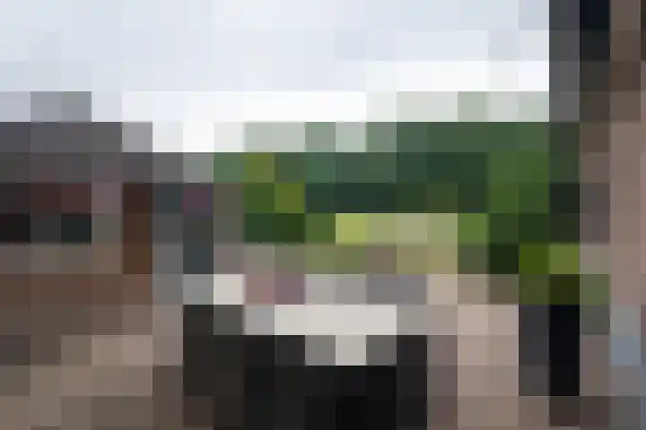 Tongerenseweg 192 Epe thumbnail 38
