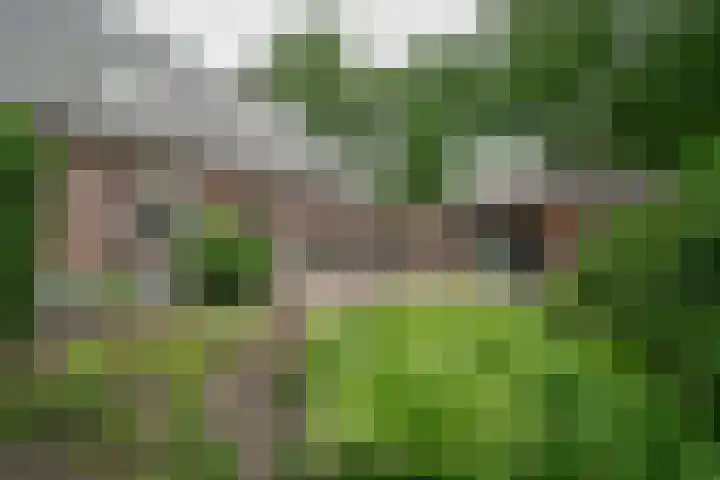 Tongerenseweg 192 Epe thumbnail 39
