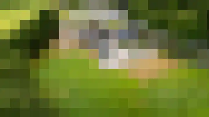Tongerenseweg 192 Epe thumbnail 4