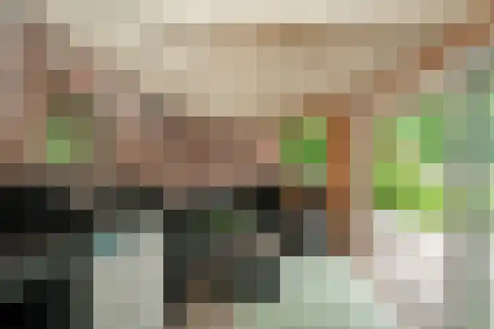 Tongerenseweg 192 Epe thumbnail 42