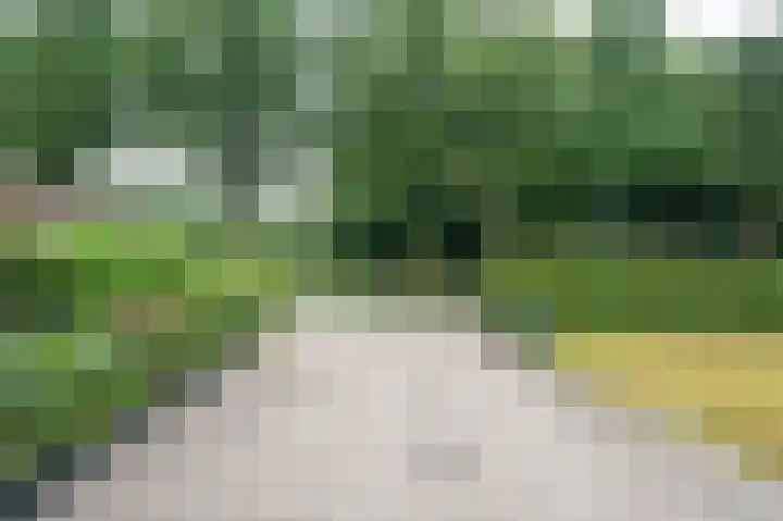 Tongerenseweg 192 Epe thumbnail 45
