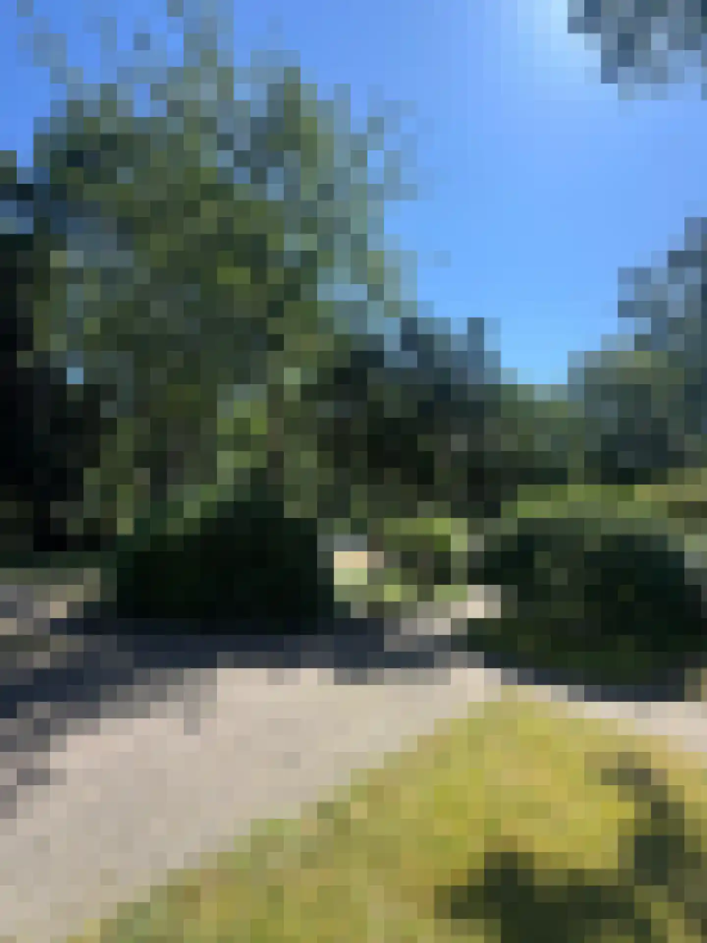 Tongerenseweg 3 Vierhouten thumbnail 10