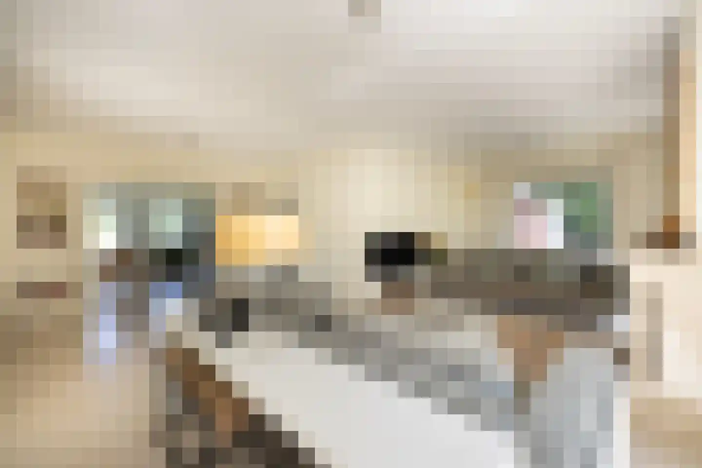 Tongerenseweg 3 Vierhouten thumbnail 12