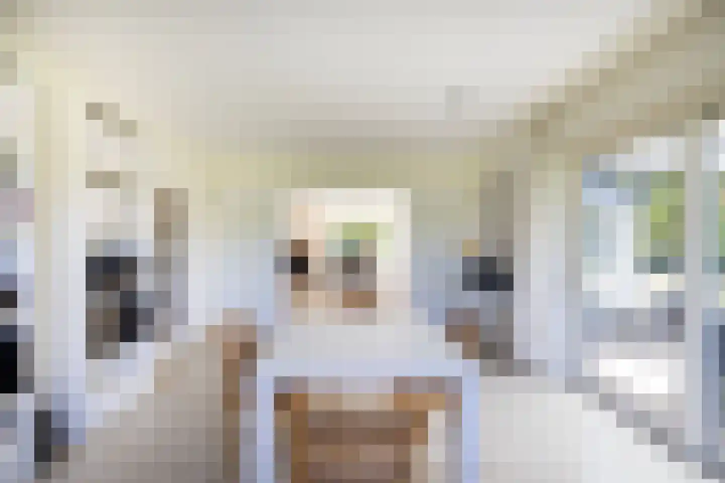 Tongerenseweg 3 Vierhouten thumbnail 14