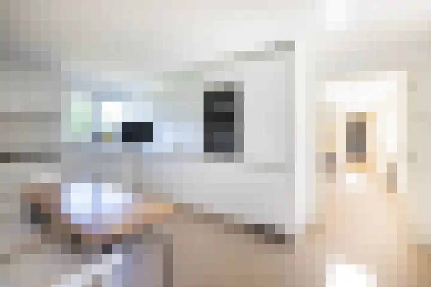Tongerenseweg 3 Vierhouten thumbnail 22