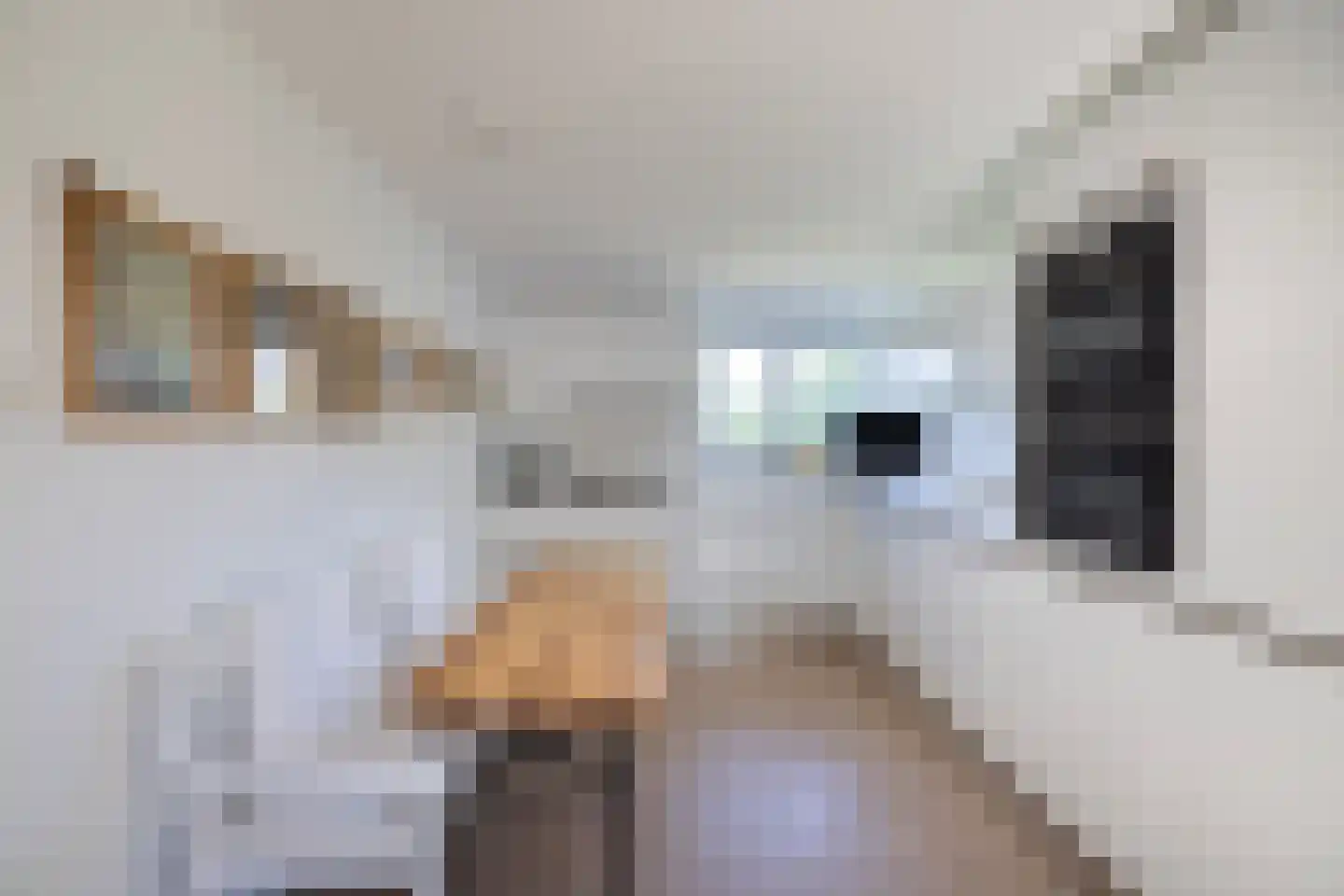 Tongerenseweg 3 Vierhouten thumbnail 23