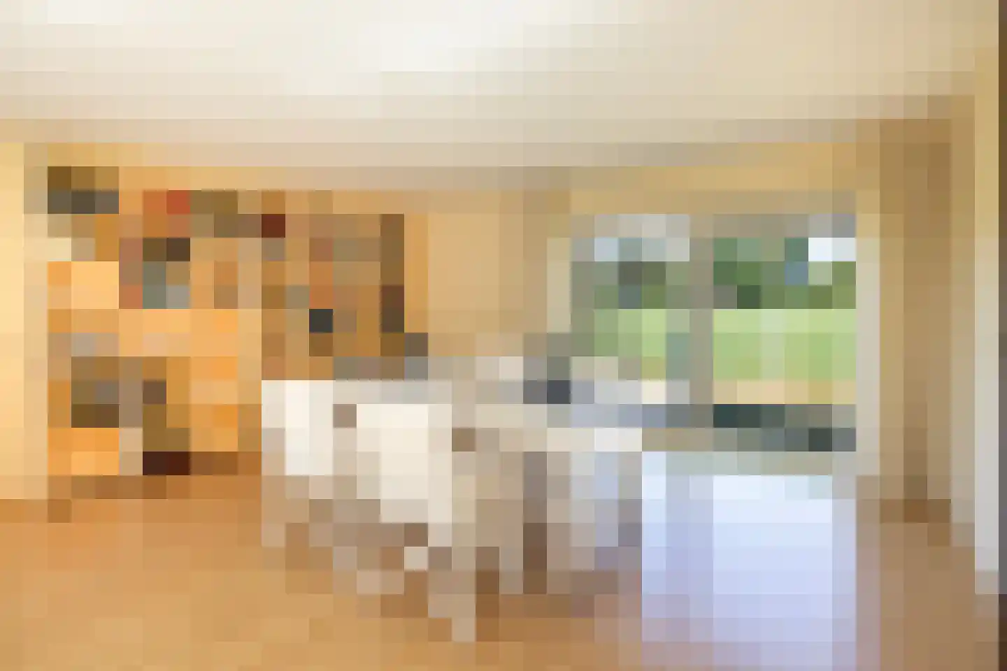 Tongerenseweg 3 Vierhouten thumbnail 24