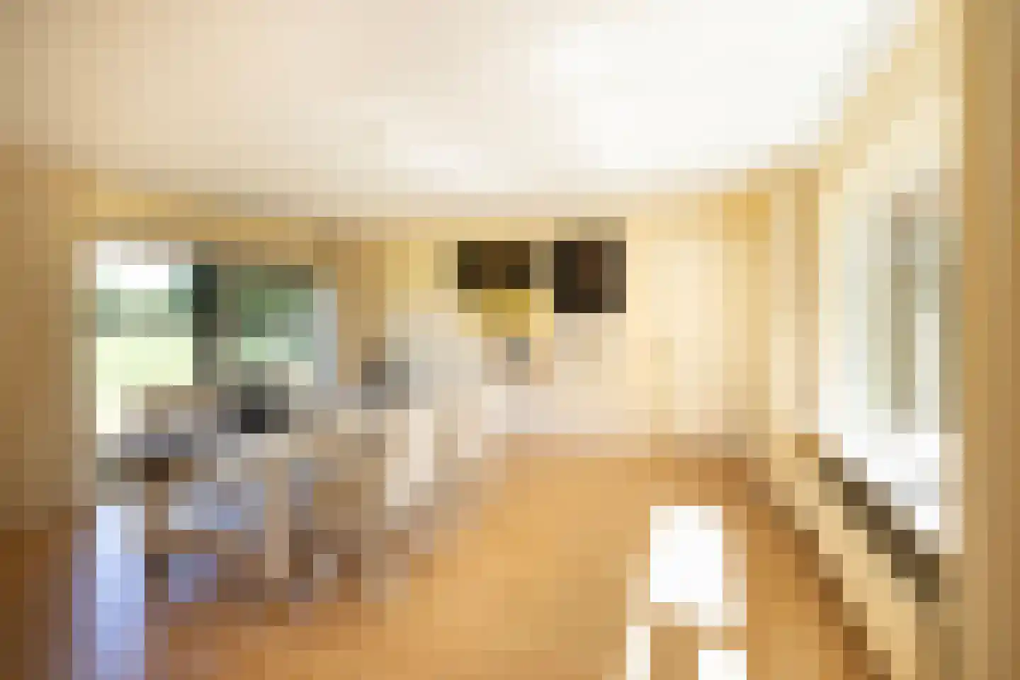 Tongerenseweg 3 Vierhouten thumbnail 25