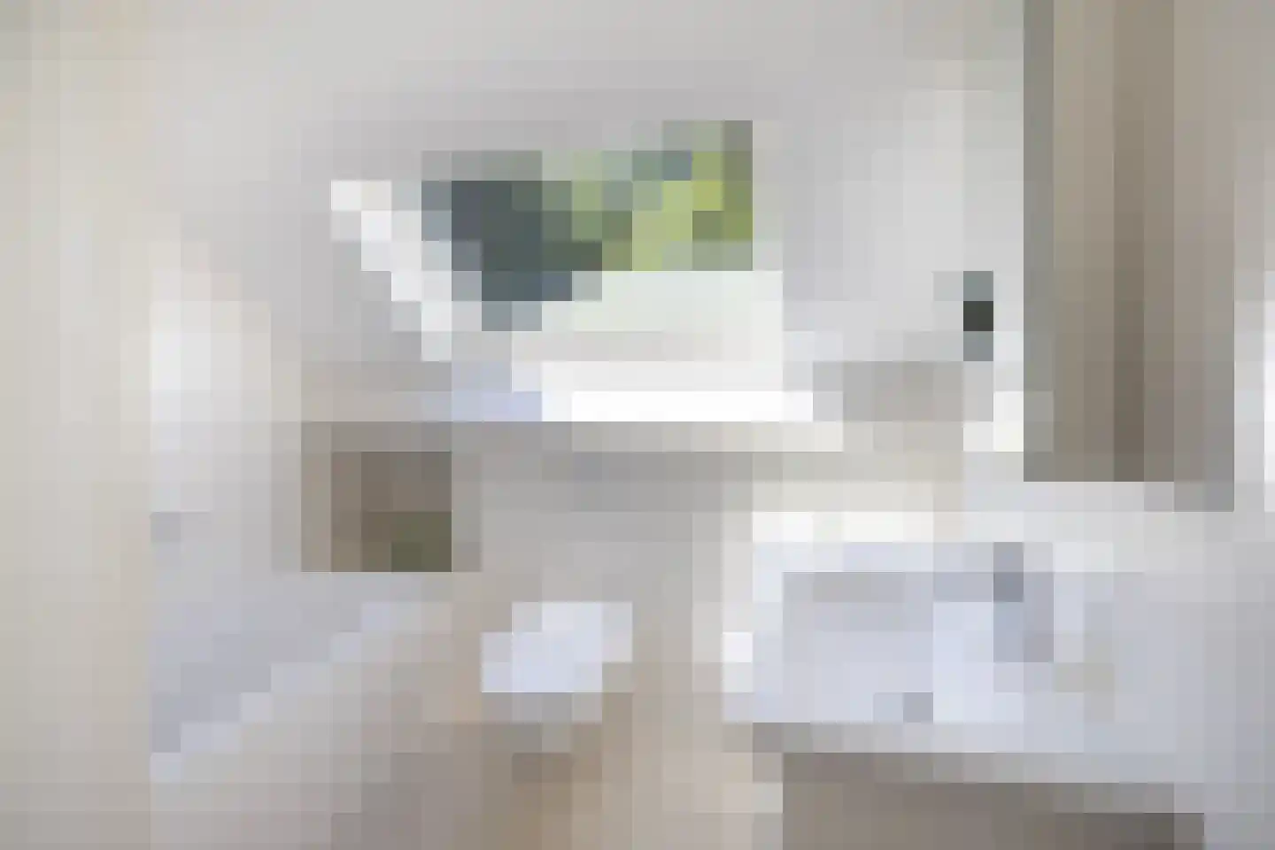 Tongerenseweg 3 Vierhouten thumbnail 37