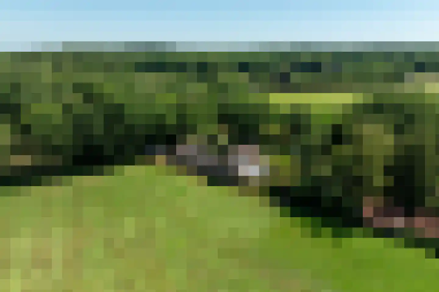 Tongerenseweg 3 Vierhouten thumbnail 4