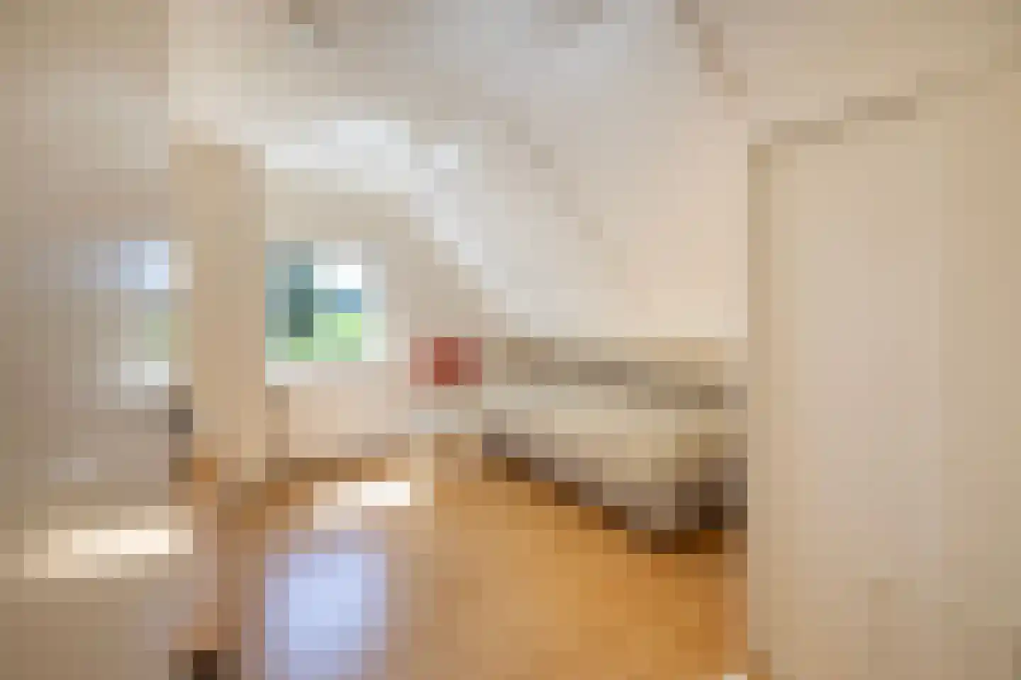 Tongerenseweg 3 Vierhouten thumbnail 40