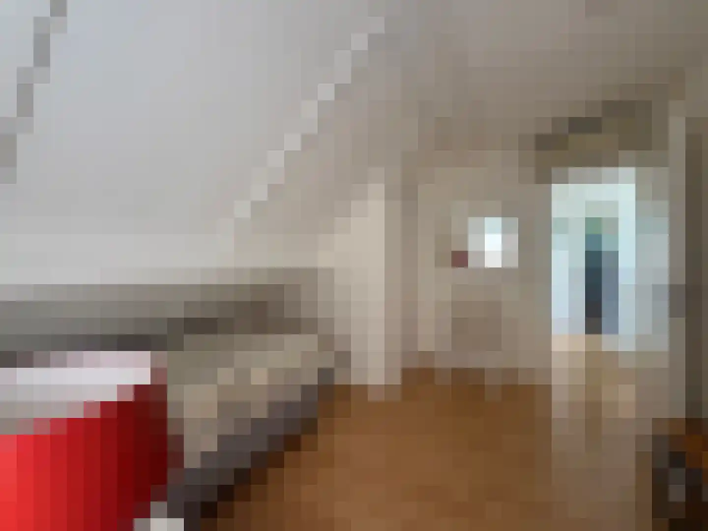 Tongerenseweg 3 Vierhouten thumbnail 42