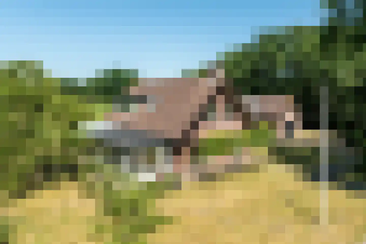 Tongerenseweg 3 Vierhouten thumbnail 48