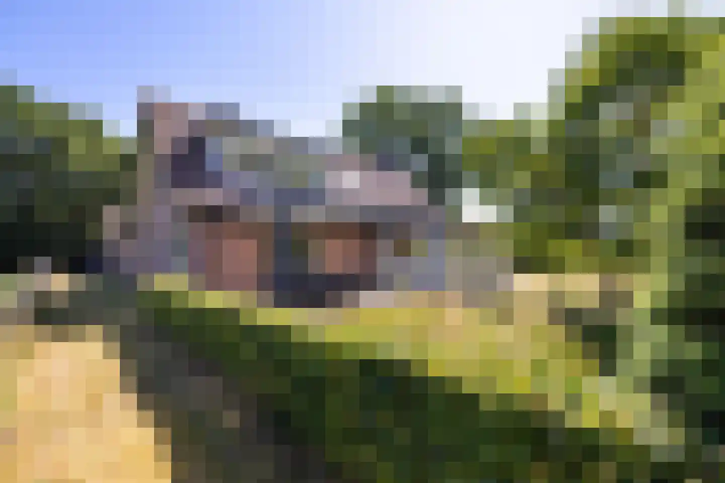 Tongerenseweg 3 Vierhouten thumbnail 51