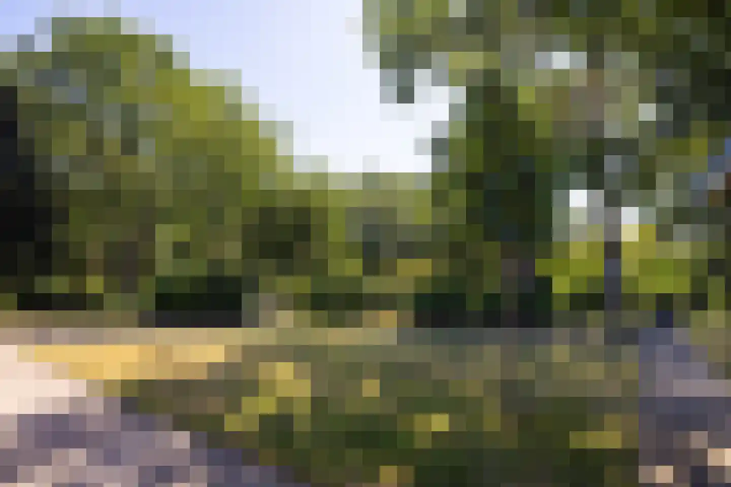 Tongerenseweg 3 Vierhouten thumbnail 53