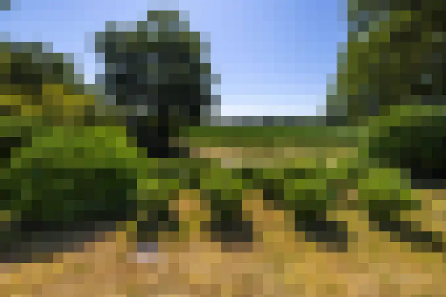 Tongerenseweg 3 Vierhouten thumbnail 54