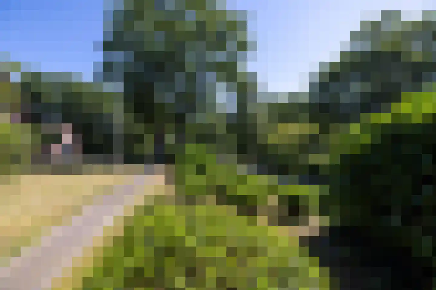 Tongerenseweg 3 Vierhouten thumbnail 55