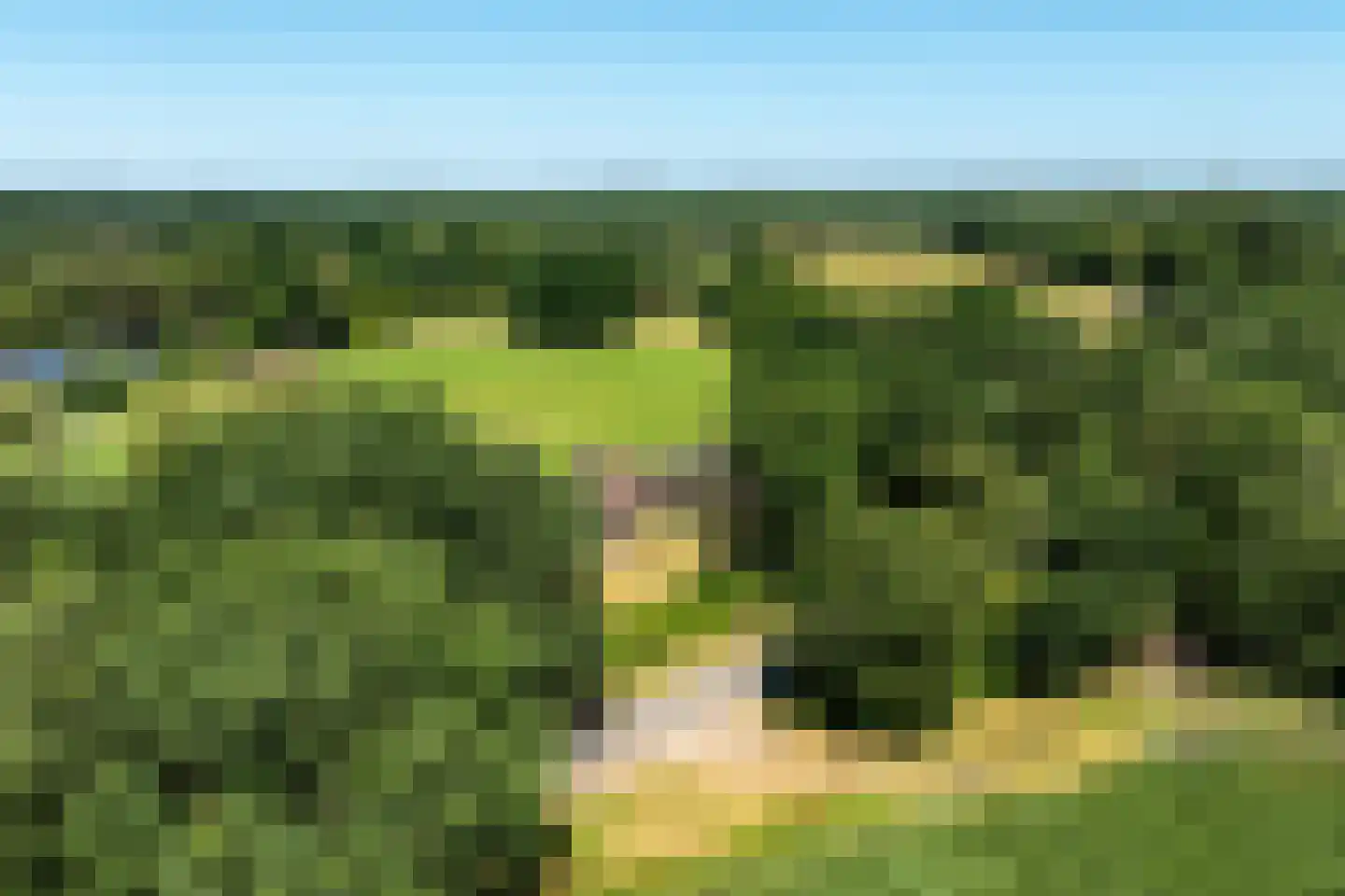 Tongerenseweg 3 Vierhouten thumbnail 57