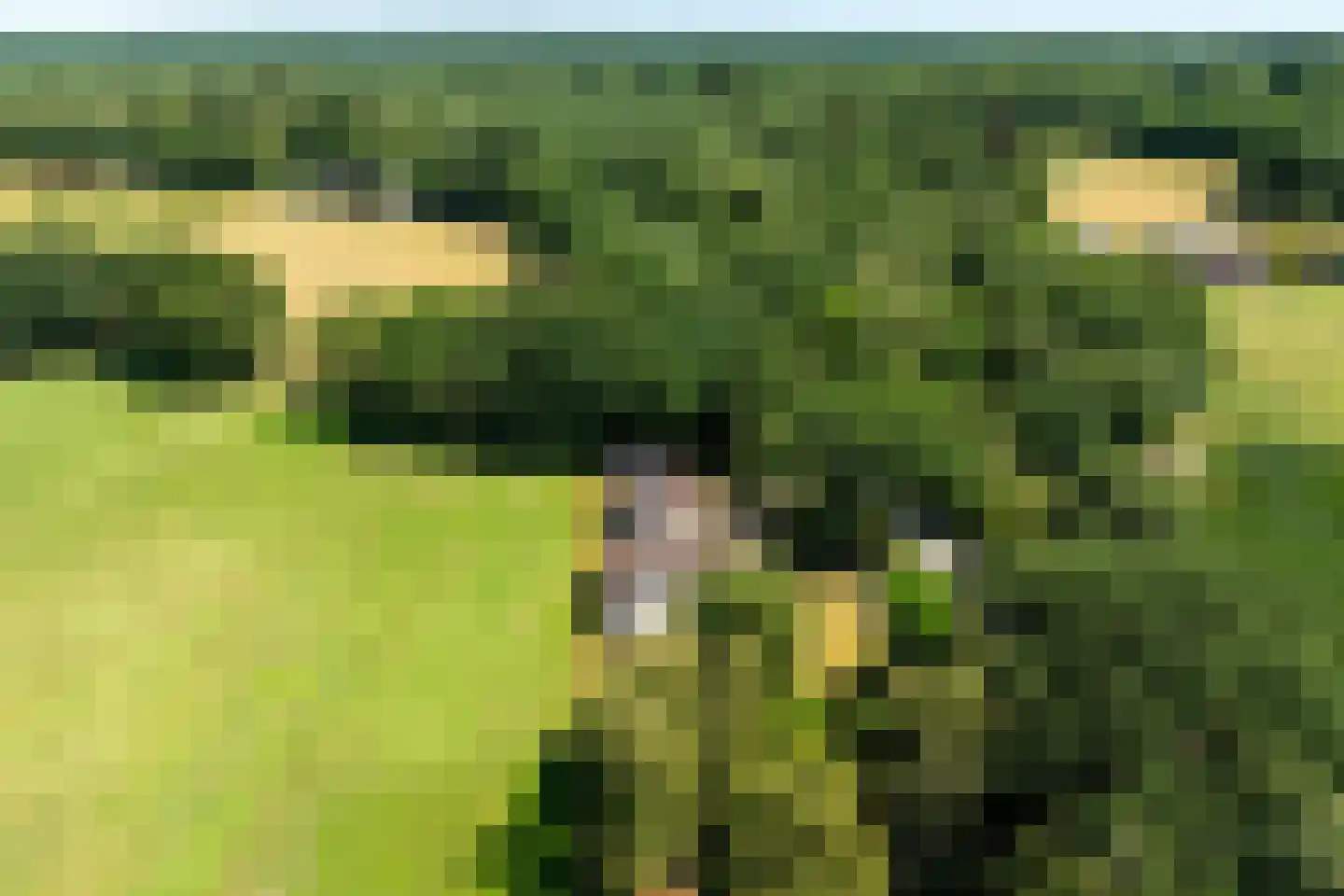Tongerenseweg 3 Vierhouten thumbnail 58