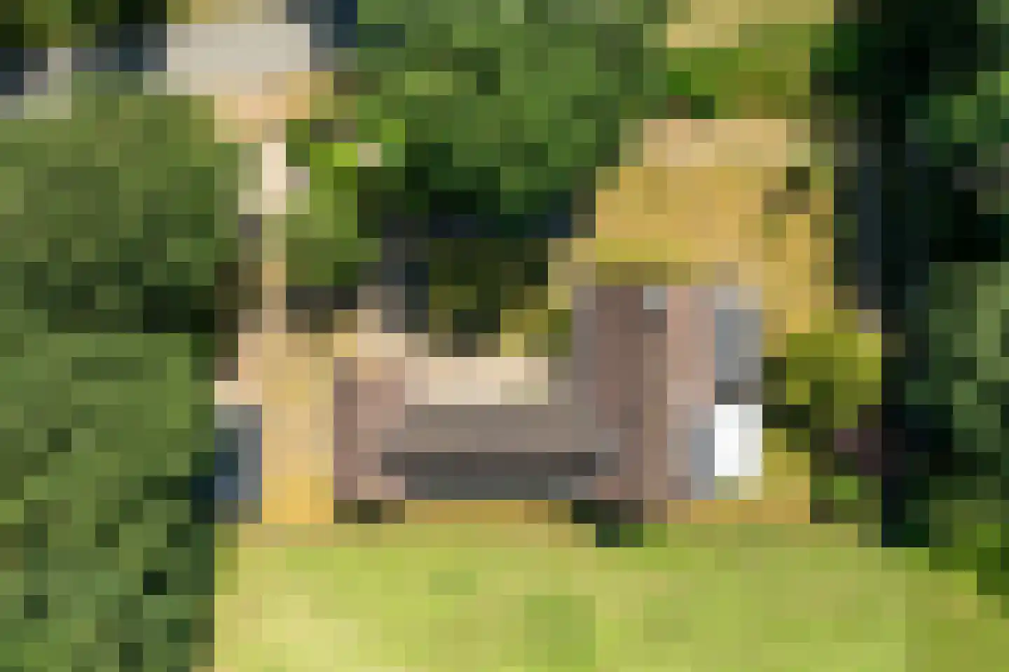 Tongerenseweg 3 Vierhouten thumbnail 60