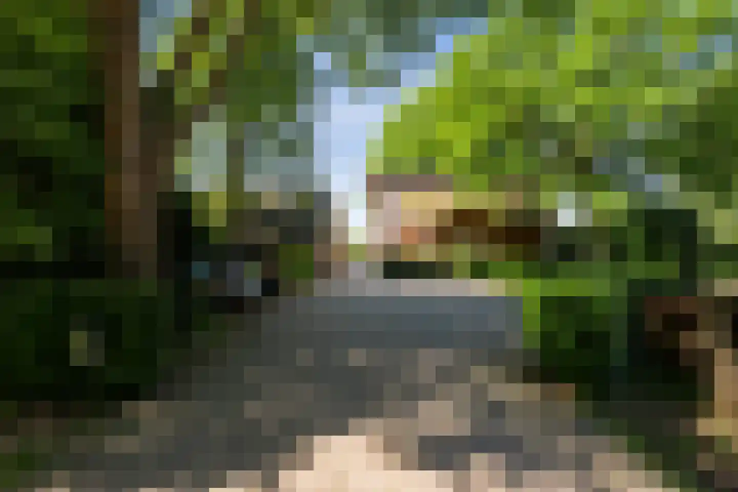 Tongerenseweg-Zuid 119 Epe thumbnail 4