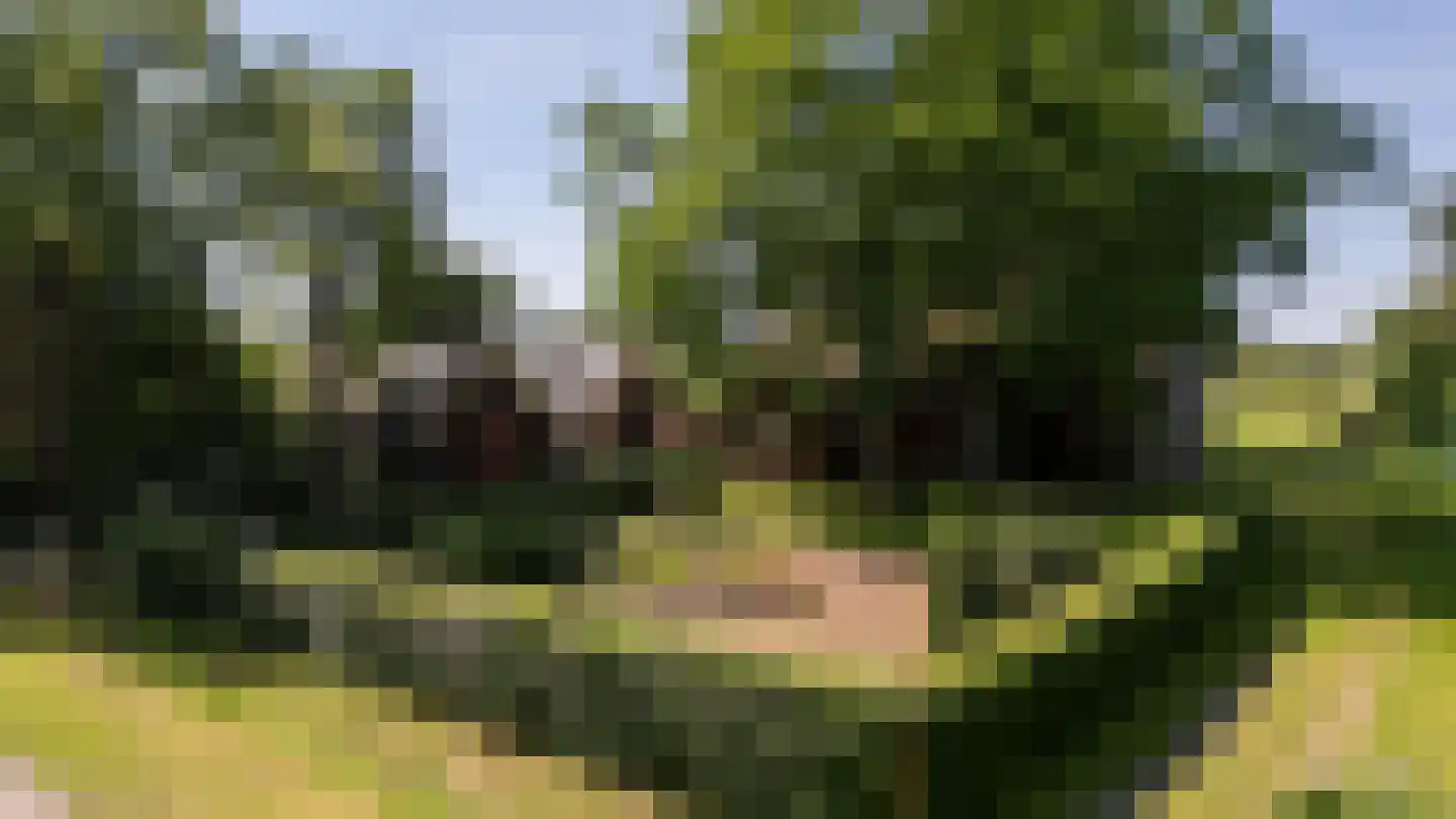 Tongerenseweg-Zuid 119 Epe thumbnail 7