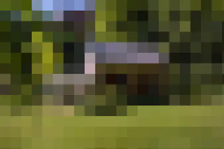 Tongerenseweg-Zuid 213 Epe thumbnail 4