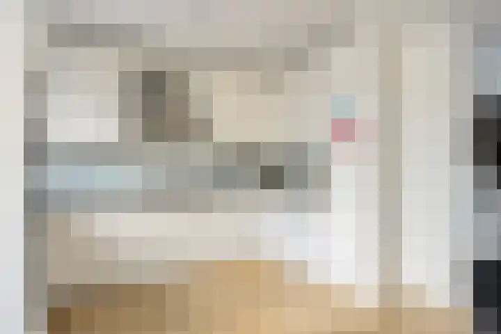 Tongerenstraat 1 Breda thumbnail 6