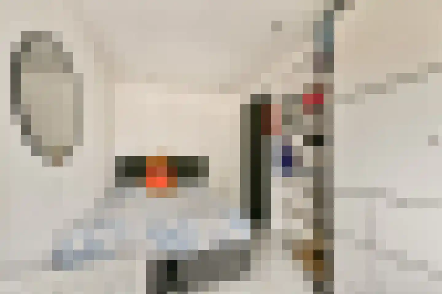 Tongerenstraat 11 Amsterdam thumbnail 20