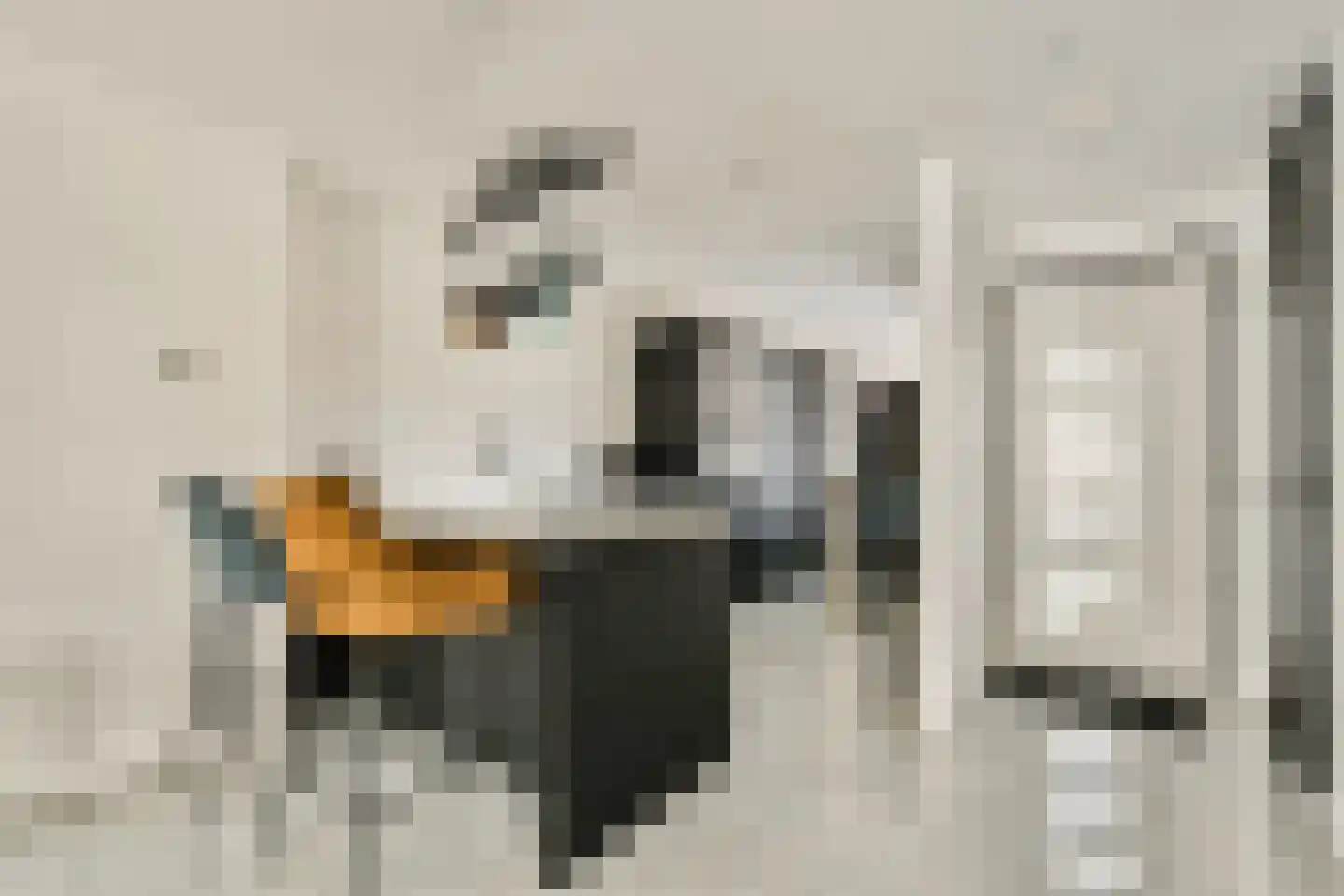 Tongerenstraat 11 Amsterdam thumbnail 9