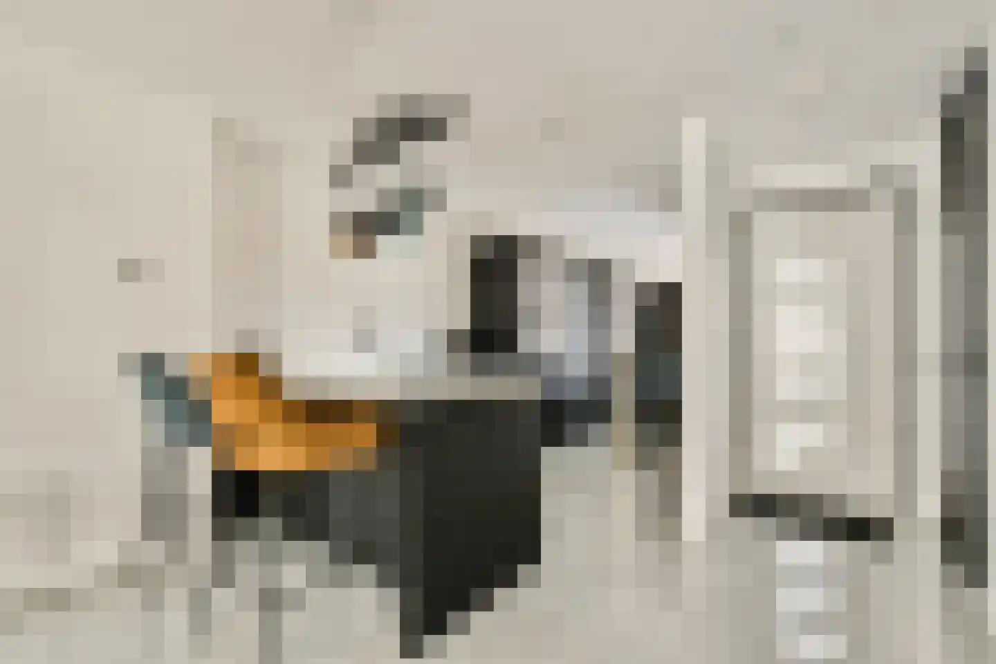 Tongerenstraat 11 Amsterdam thumbnail 9