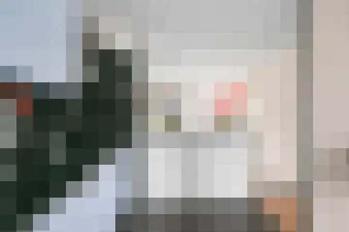 Tongerenstraat 21 Amsterdam thumbnail 5
