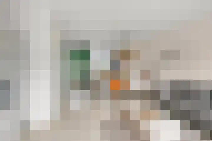 Tongerenstraat 21 Amsterdam thumbnail 8