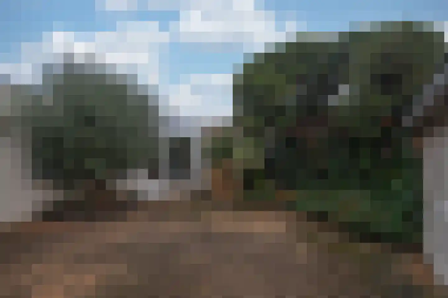 Tongerenstraat 3 Stein thumbnail 18