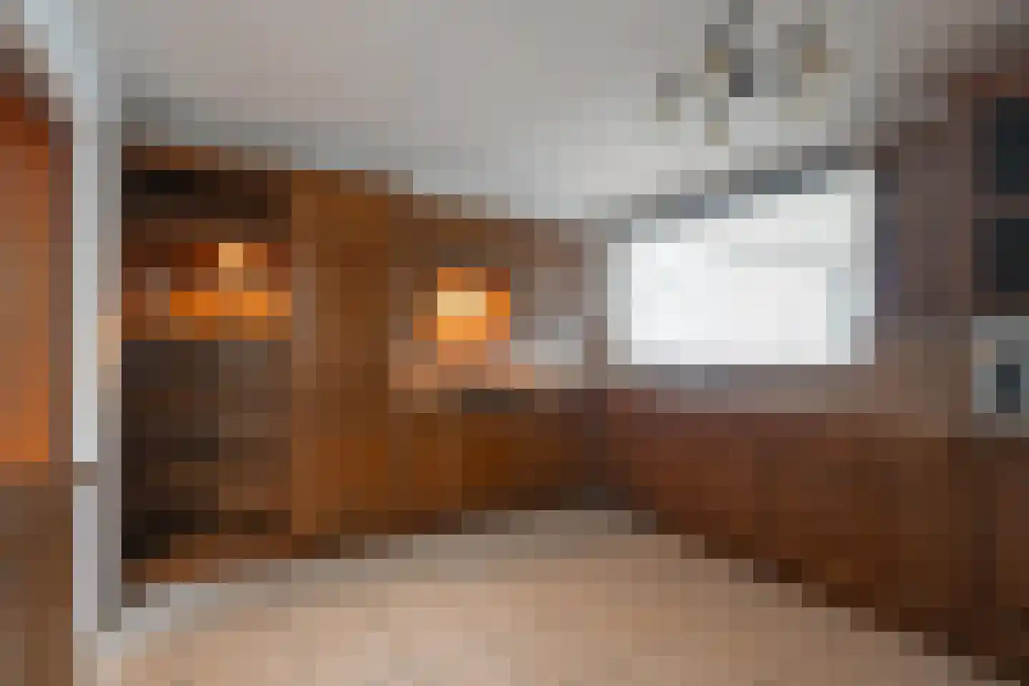 Tongerenstraat 3 Stein thumbnail 9