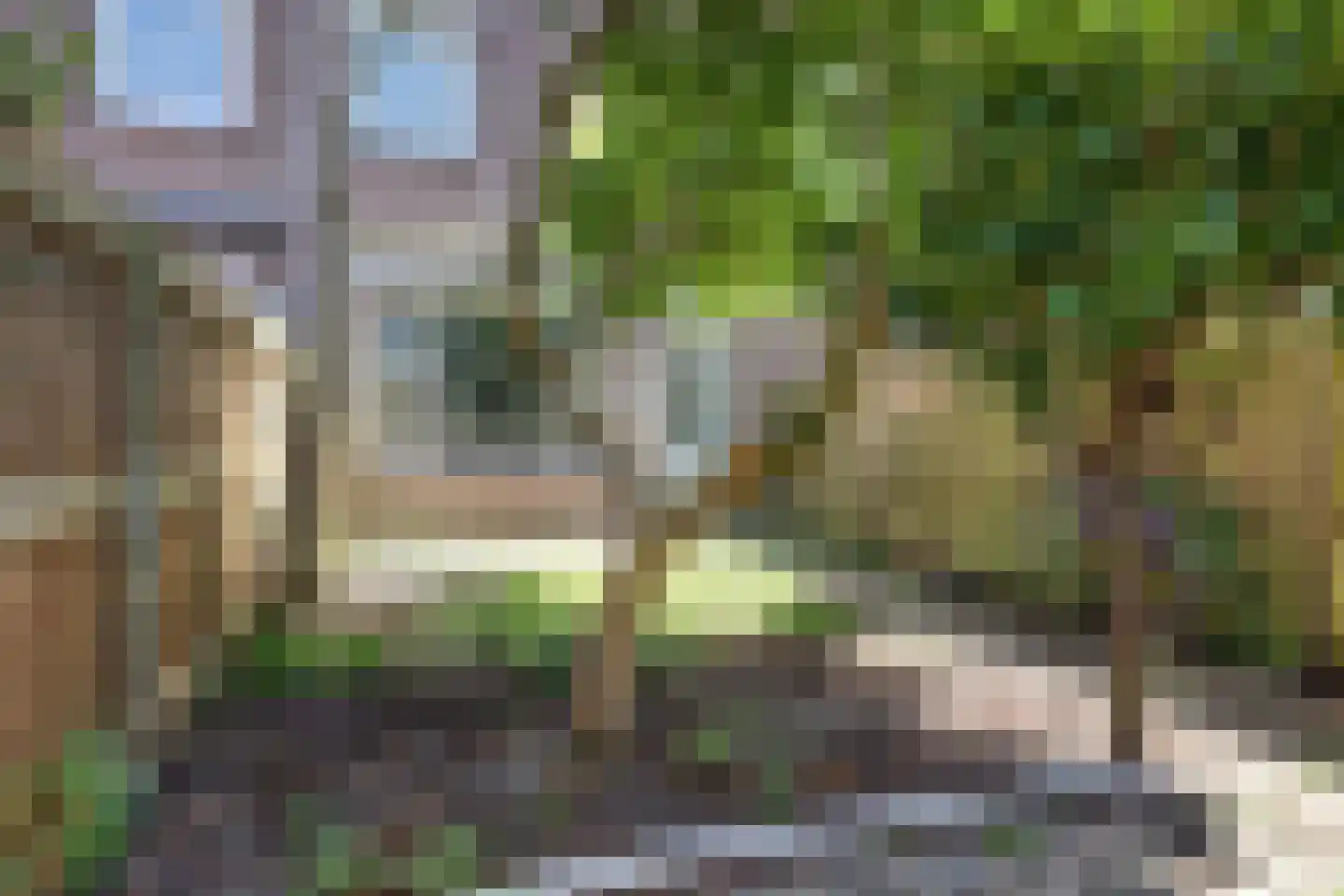 Tongerenstraat 66 Amsterdam thumbnail 27