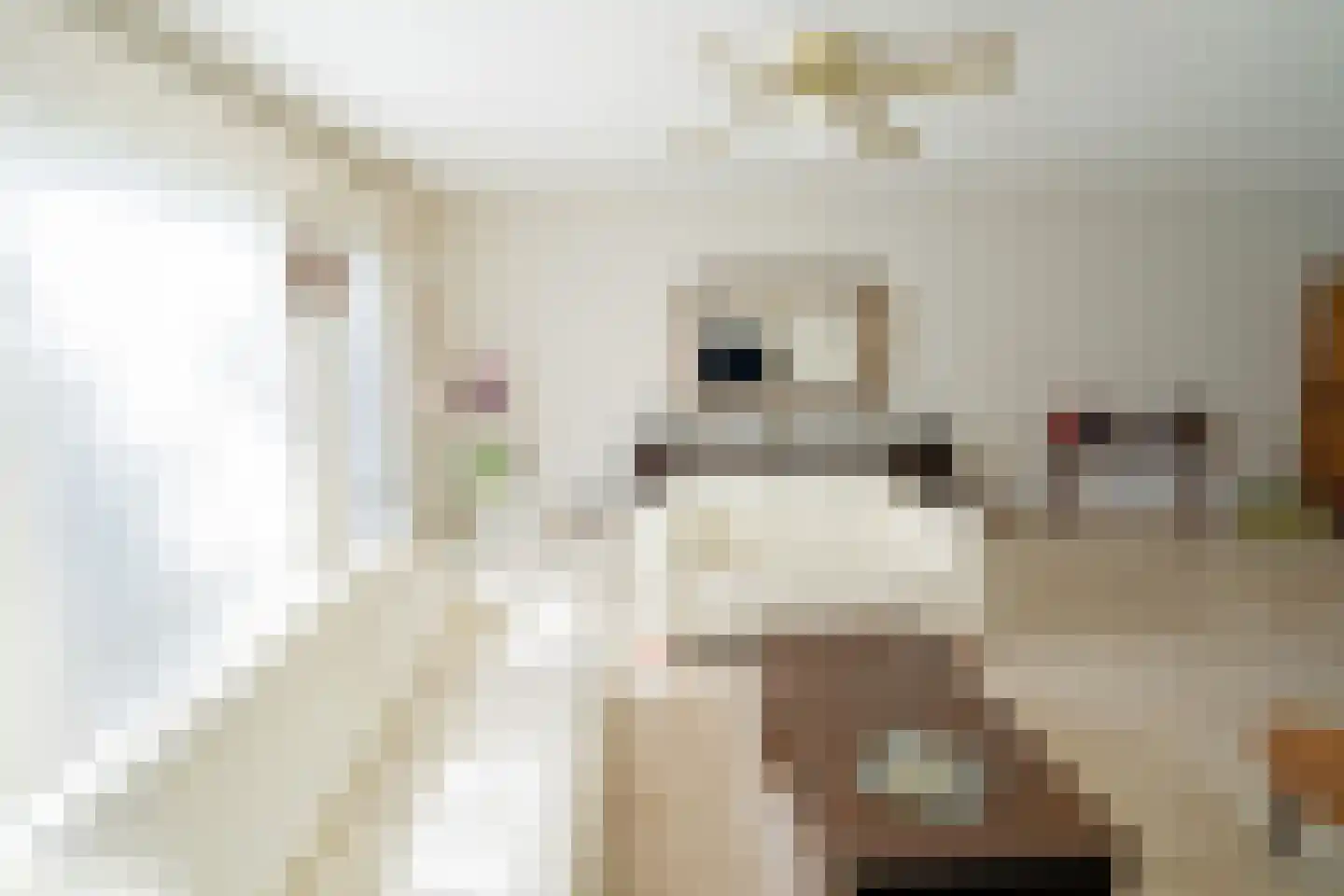 Tongerhof 3 Nuenen thumbnail 15
